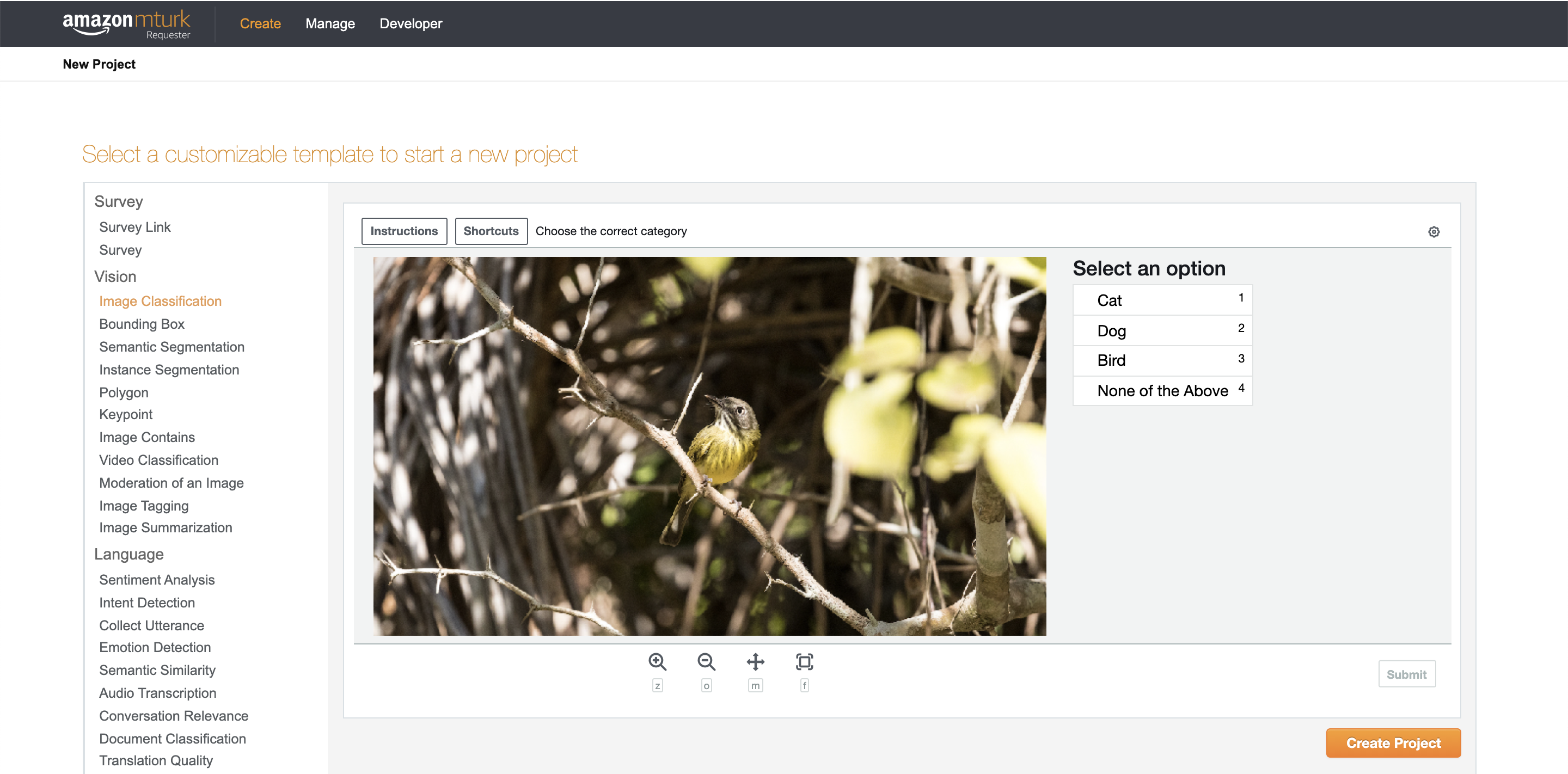 Click on the Create tab to start building a New Project